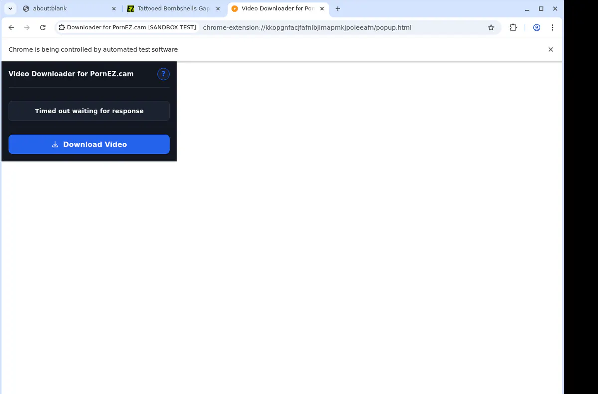 Pornezcam Video Downloader screenshot 2