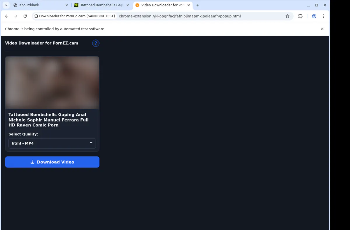 Pornezcam Video Downloader screenshot 3