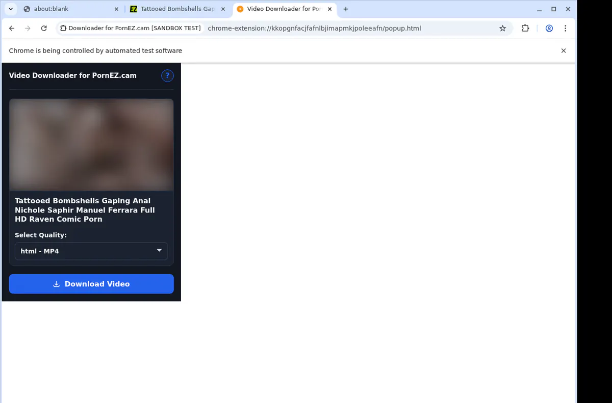 Pornezcam Video Downloader screenshot 4