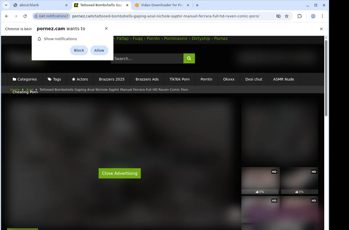 Pornezcam Video Downloader screenshot 5